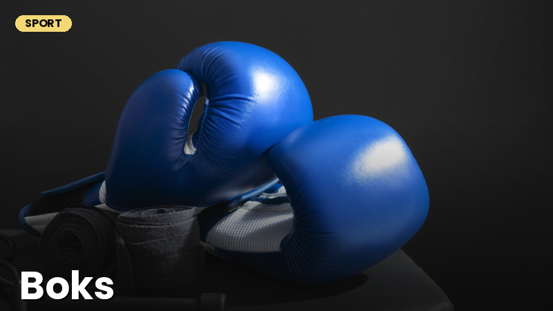 Boks sport turi