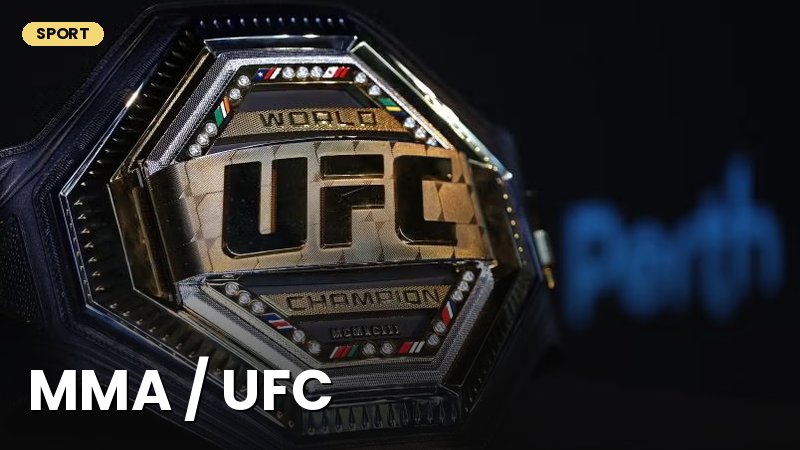 MMA / UFC sport turi