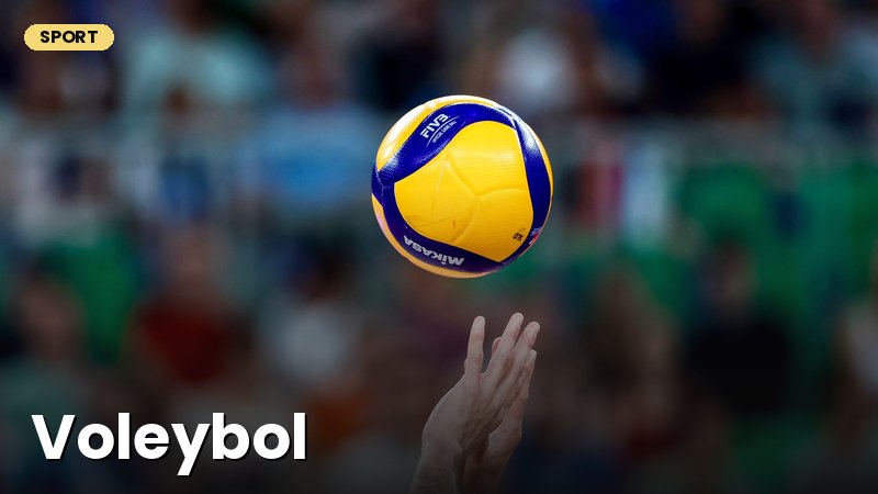 Voleybol sport turi
